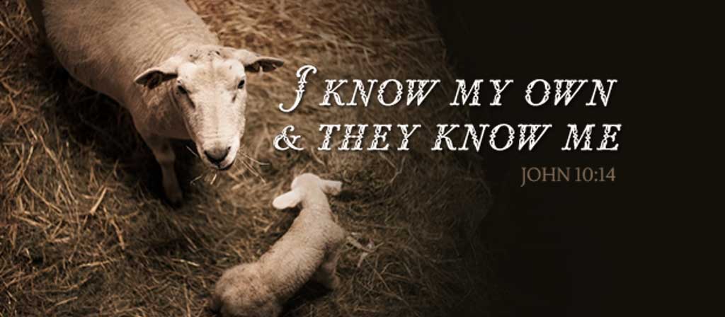 4th Sunday of Lent
