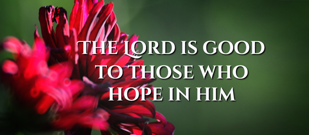 27th Sunday in Ordinary Time