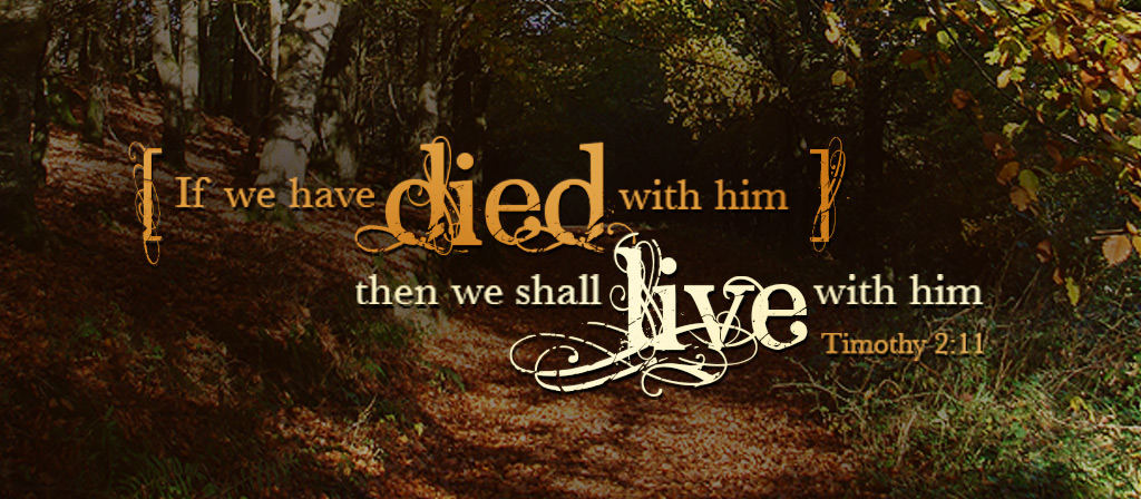28th Sunday in Ordinary Time