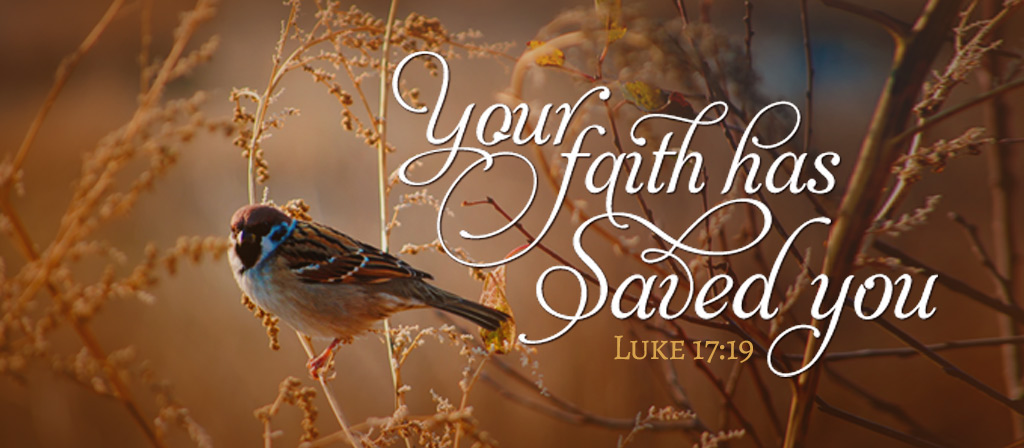 28th Sunday in Ordinary Time