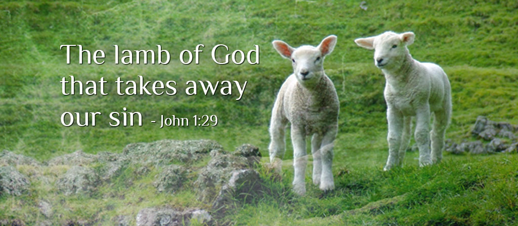 2nd Sunday in Ordinary Time