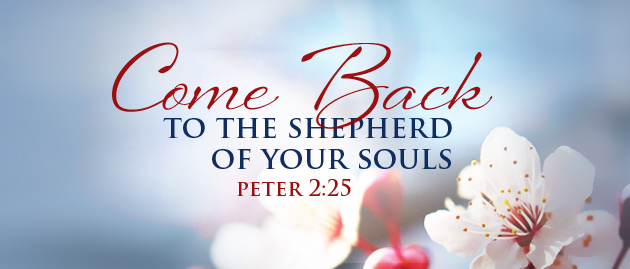 Fourth Sunday of Easter - World Day of Prayer for Vocations