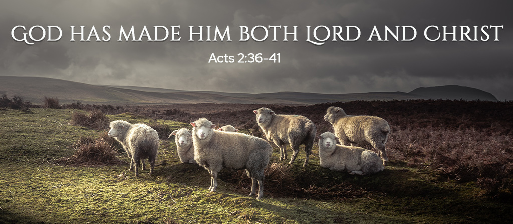 Fourth Sunday of Easter - World Day of Prayer for Vocations