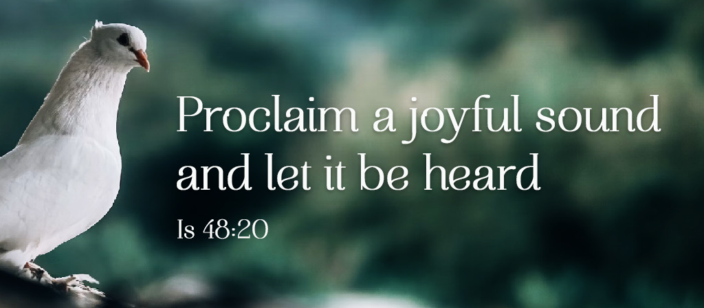 6th Sunday of Easter