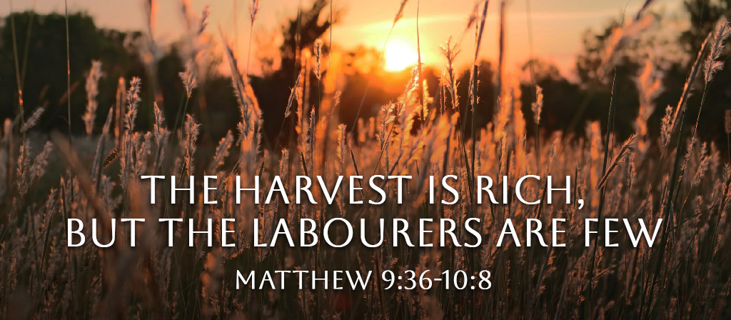 11th Sunday in Ordinary Time