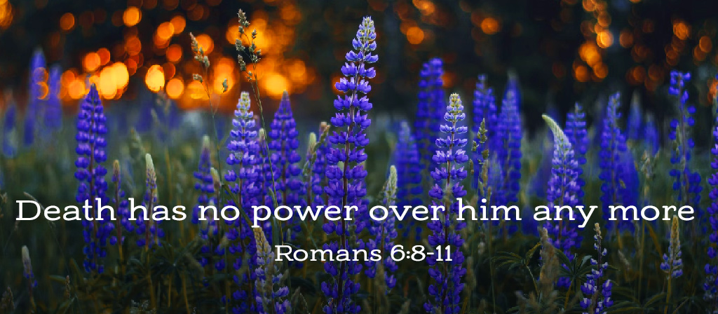 13th Sunday in Ordinary Time