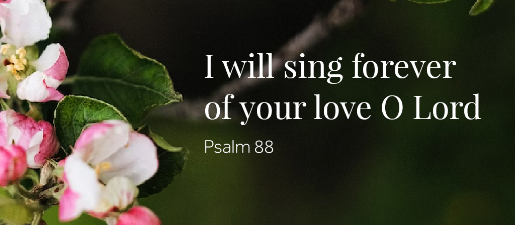 13th Sunday in Ordinary Time
