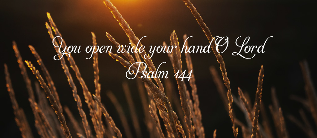18th Sunday in Ordinary Time