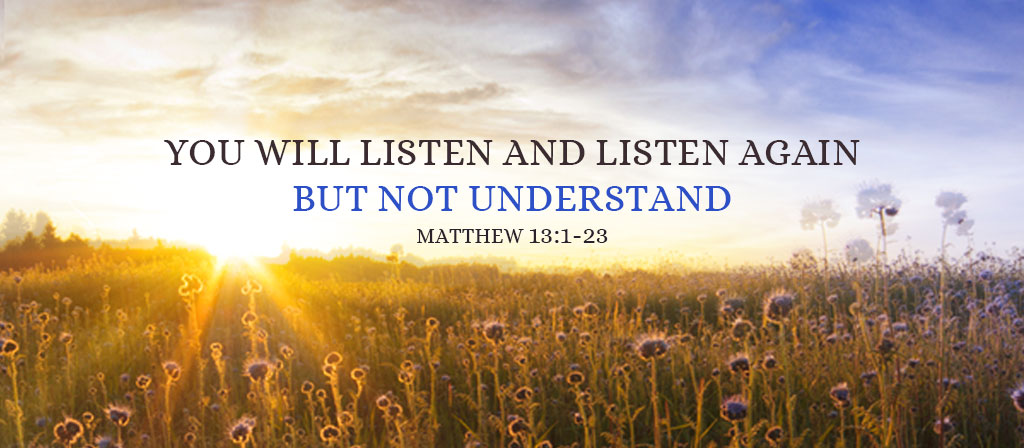 15th Sunday in Ordinary Time