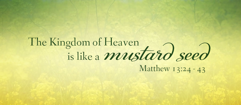 16th Sunday in Ordinary Time