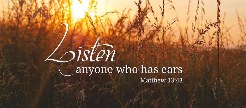 16th Sunday in Ordinary Time