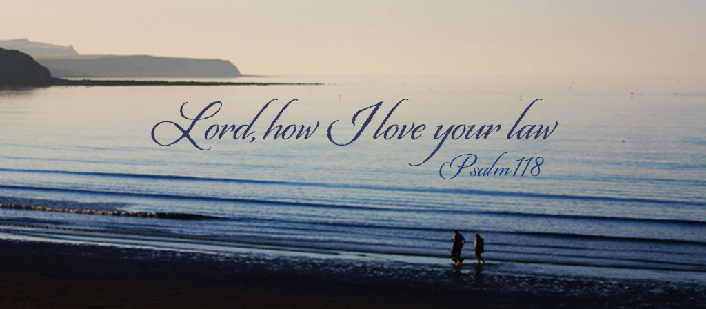 17th Sunday in Ordinary Time