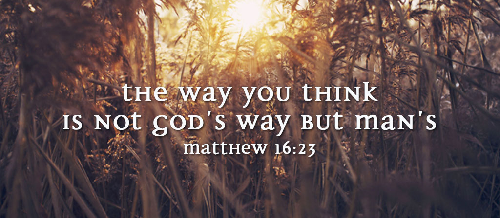 22nd Sunday in Ordinary Time