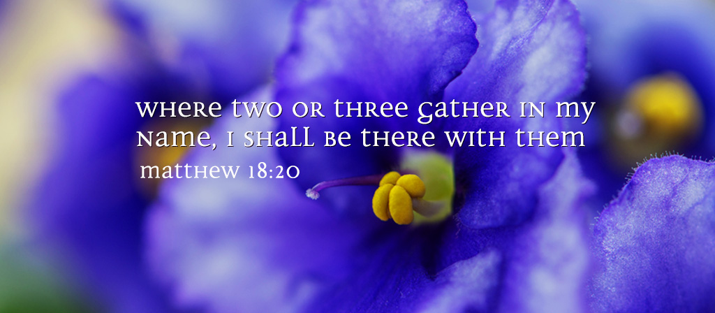 23rd Sunday in Ordinary TIme